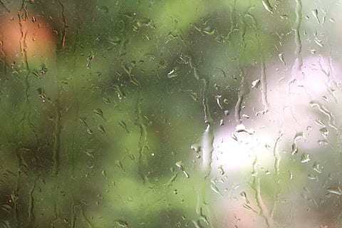 regn, dråbe, vand, våd, vindue, glas - materiale, gennemsigtig, ingen mennesker, indendørs, baggrunde, natur, fuld ramme, tæt på, regndråbe, plante, grøn farve, dag, regntiden, blødt fokus, 2K, CC0, offentligt domæne, royaltyfrie