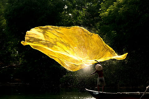 F dg, acqua, pianta, giallo, natura, persone reali, albero, bellezza nella natura, una persona, movimento, stili di vita, crescita, persona irriconoscibile, detenzione, lungomare, all'aperto, giorno, foresta, lunghezza intera, 2K, CC0, dominio pubblico, privo di copyright