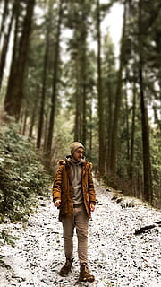 retrat, muntanya, arbre, bosc, terra, una persona, longitud completa, planta, persones reals, estils de vida, activitat d'oci, roba, naturalesa, hivern, dia, caminar, creixement, adult, bellesa a la natura, de peu, roba calenta, a l'aire lliure, 4K, CC0, domini públic, lliure de regalies