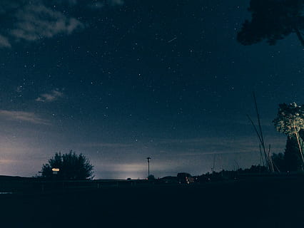silhouette, trees, buildings, starry skies, astronomy, dark, dawn, dramatic, environment, evening, evening sky, landscape, lights, nature, road, sky, starry sky, stars, vehicle, weather, night, tree, scenics - nature, beauty in nature, no people, tranquility, star - space, plant, tranquil scene, space, outdoors, star, cloud - sky, field, 4K, CC0, public domain, royalty free