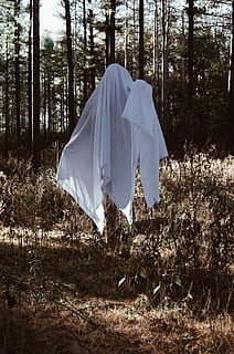 Person, tragen, Weiß, Textil-, braun, Bäume, Baum, gruslig, Halloween, Geist, Android Wallpaper, iPhone Hintergrundbild, iphone, Tapete, Hintergrund, Hölle, Goth, Liebe, Wildnis, Erde, Ghul, Nikon, Foto, launisch, Land, Pflanze, Wald, Tag, Ruhe, Feld, Natur, keine Leute, Wachstum, weiße Farbe, Gras, ruhige Szene, Umgebung, Camping, Nicht-städtische Szene, Schönheit in der Natur, draußen, 4K, CC0, gemeinfrei, lizenzfrei
