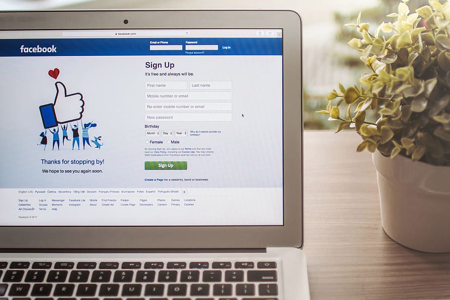 detall, inici de sessió aplicació de pàgina de facebook, portàtil, comunicació, tecnologia, ordinador, tecnologia sense fils, flor, planta amb flors, text, taula, connexió, a l'interior, equips informàtics, negocis, cap gent, planta, naturalesa, guió occidental, pantalla, monitor d’ordinador, Internet, teclat, arranjament floral, 2K