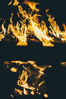 falò, fuoco, fiamma, campeggio, montagna, natura, all'aperto, pianta, fiore, narciso, fiorire, macchina da gioco arcade, natura selvaggia, eruzione, vulcano, lava, avventura, attività ricreative, silhouette, aquila, ardente, calore - temperatura, fuoco - fenomeno naturale, notte, raggiante, movimento, nessuno, colore arancione, avvicinamento, ceppo, legno - materiale, ambiente, fuoco di bivacco, lunga esposizione, legna da ardere, giallo, legna, sfondo nero, 5K, CC0, dominio pubblico, privo di copyright