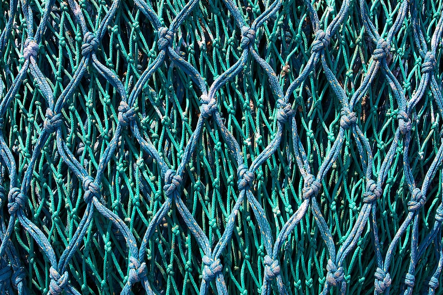xarxa blava-verda, marc complet, fons, color verd, cap gent, planta, dia, blau, patró, creixement, primer pla, naturalesa, textura, xarxa de pesca, corda, complexitat, indústria pesquera, a l'aire lliure, bellesa a la natura, abundància, gran grup d'objectes, color turquesa, enredat, 5K