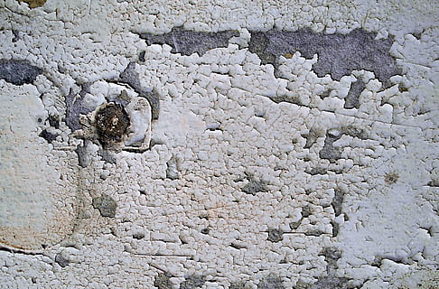 koberec, přízemní, zeď, Skála, půda, silnice, Příroda, vápenec, venku, polní cesta, štěrk, domovní dekorace, suť, kámen, archeologie, zvíře, beton, kamenná zeď, obilí, vyrobit, nikdo, den, pevný, Dějiny, starý, celý rám, texturou, pozadí, architektura, zvětralý, detail, minulost, starověké, umění a řemesla, řemeslo, vzor, přistát, starověké civilizace, 2K, CC0, veřejná doména, bez autorských práv