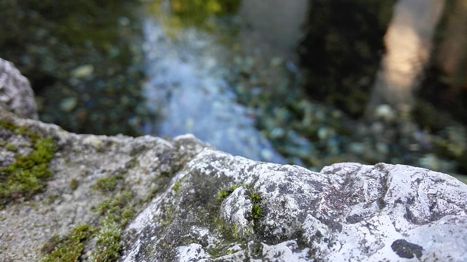 Alemanya, königsbronn, rock, rock - object, sòlid, dia, naturalesa, cap gent, molsa, planta, aigua, centrar-se en primer pla, a l'aire lliure, bosc, primer pla, arbre, terra, moviment, textura, enfocament selectiu, rierol: aigua que flueix, aigua que flueix, liquen, 4K
