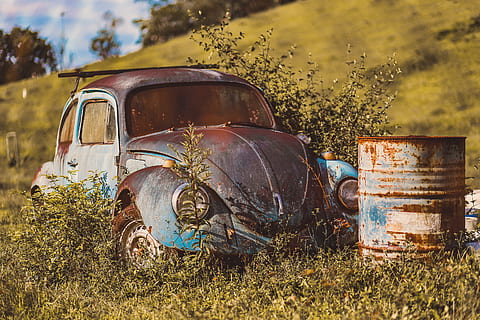 les, stromy, fusca, brouk, serjoza, Sao Paulo, maršilac, opuštěný, pozemního vozidla, způsob dopravy, rezavý, zastaralý, starý, pole, poškozen, kov, auto, přistát, motorové vozidlo, pokles, přeprava, zhoršení, rostlina, run-down, den, Příroda, špatný stav, nikdo, venku, zničil, skládka, 2K, CC0, veřejná doména, bez autorských práv