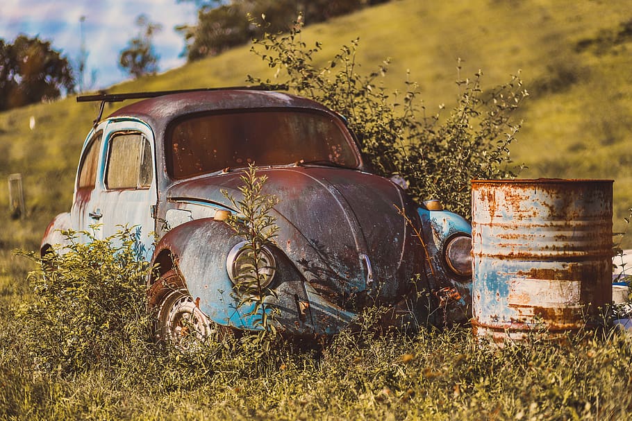 bosc, arbres, fusca, escarabat, serjosoza, Sao Paulo, marsilac, abandonat, vehicle terrestre, manera de transport, rovellat, obsoleta, vell, camp, espatllat, metall, cotxe, terra, automòbil, declivi, transport, deteriorament, planta, aixafar, dia, naturalesa, mal estat, cap gent, a l'aire lliure, arruïnat, desguàs, 2K