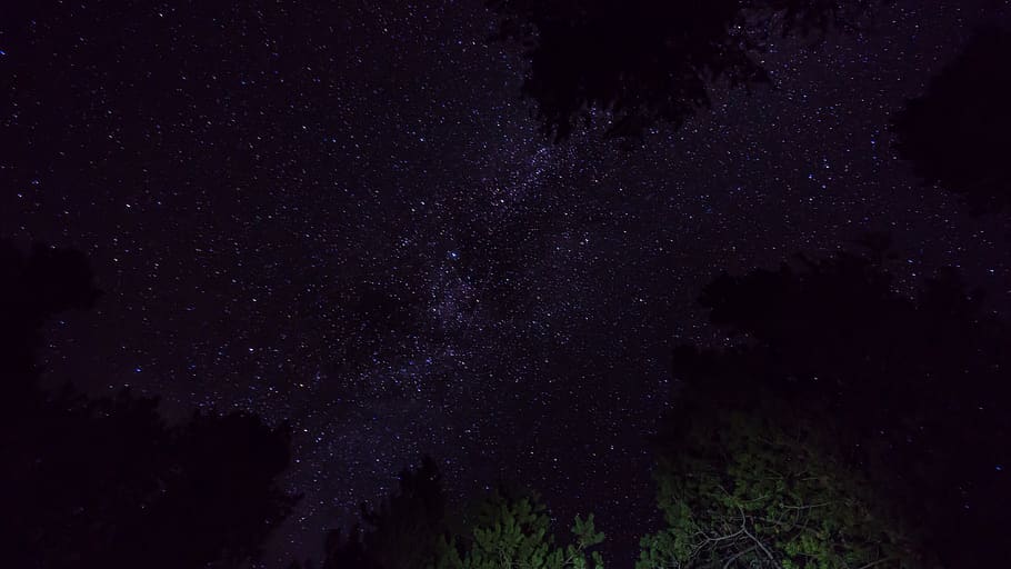 træer under stjerner, sort, Winfield, Forenede Stater, nat, udendørs, astronomi, plads, univers, ydre rum, galakse, stjernetåge, stjerne - rum, himmel, skønhed i naturen, ingen mennesker, træ, natur, scenics - natur, plante, ro, stjerne, Mælkevejen, rolig scene, lav vinkel visning, stjerne felt, vækst, rum og astronomi, 5K