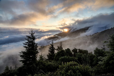 verde, arboles, nublado, cielo, nubes, amanecer, ambiente, noche, niebla, bosque, paisaje, ligero, montaña, área de conservación nacional, naturaleza, escénico, Dom, luz del sol, puesta de sol, Estados Unidos, árbol, planta, nube - cielo, belleza en la naturaleza, escena tranquila, paisajes - naturaleza, tranquilidad, crecimiento, nadie, escena no urbana, al aire libre, día, tierra, idílico, árbol conífero, bosque de pinos, 1080P, CC0, dominio público, libre de derechos
