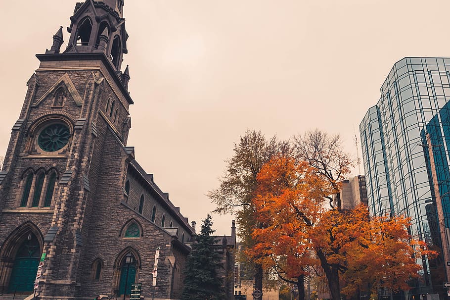 Canada, Ottawa, arkitektur, efterår, træ, by-, religiøs, downtown, bylandskab, tilbede, kirke, moderne, bygning udvendig, bygget struktur, himmel, bygning, sted for tilbedelse, natur, religion, tro, lav vinkel visning, spiritualitet, tårn, plante, ingen mennesker, historie, fortiden, lave om, udendørs, ur, 2K
