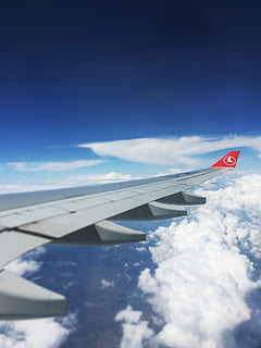 fly, thy, skyer, himmel, luftfartøj, sky - himmel, transportmidler, flyvinger, transportform, flyvende, natur, rejse, blå, på farten, ingen mennesker, dag, bevægelse, Midt i luften, offentlig transport, udendørs, skønhed i naturen, 4K, CC0, offentligt domæne, royaltyfrie