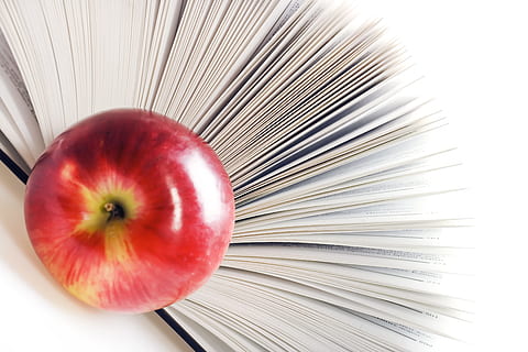 apple, , book, closeup, dictionary, education, encyclopedia, exam, hardcover, history, nobody, page, paper, healthy eating, food, wellbeing, fruit, food and drink, freshness, red, close-up, indoors, apple - fruit, directly above, no people, still life, table, vegetable, studio shot, organic, white color, high angle view, large group of objects, ripe, snack, 4K, CC0, public domain, royalty free