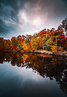 cos, aigua, envoltat, arbres, gris, cel, reflexionar, llac, arbre, reflexió, tardor, caure, bosc, núvol, taronja, vermell, groc, full, ennuvolat, reflectint, rock, color de la tardor, naturalesa, color taronja, a l'aire lliure, temporada, multicolor, paisatge, bellesa a la natura, escenics, arbre d'auró, parc - l'home va fer espai, estany, escena tranquil·la, octubre, colors, color vibrant, color daurat, riu, exuberant fullatge, imatge en color, planta, cap gent, arce japonès, fullatge de tardor japonès, Japó, llum solar, 5K, CC0, domini públic, lliure de regalies