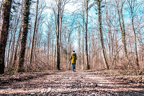 gehende Person, bekleidung, Kleidung, Person, Mensch, Mantel, draußen, Land, Natur, Pflanze, Baum, Wald, Schweiz, Frauenfeld, Gehen, Holz, Vegetation, Boden, Frau, Frühling, in voller Länge, eine Person, Lebensstile, kahler Baum, Freizeitbeschäftigung, echte Menschen, Tag, Baumstamm, Kofferraum, Stehen, Rückansicht, Schönheit in der Natur, Ruhe, 5K, CC0, gemeinfrei, lizenzfrei