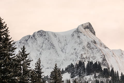 Montagne, du froid, neige, hiver, couvert de neige, hivernal, eiskristalle, blanc, congelé, buisson, chute de neige, branches, différentes façons, sommet de la montagne, Suisse, berne, Gurnigel, Gantrisch, forêt, des arbres, sapin, ciel, arbre, plante, paysages - nature, beauté dans la nature, température froide, la nature, tranquillité, scène tranquille, faible angle de vue, scène non urbaine, personne, idyllique, environnement, journée, montagne au sommet enneigé, haute, 5K, CC0, domaine public, libre de droits