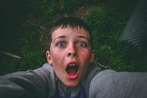 opened, mouth, black, haired boy, gray, full-zip jacket, standing, grass field, taking, selfie, boy, child, face, facial expression, fun, funny, grass, light, outdoors, person, portrait, recreation, shocked, surprise, wear, young, real people, mouth open, headshot, one person, looking at camera, young adult, shouting, emotion, lifestyles, front view, human body part, shock, casual clothing, young women, raised eyebrows, teenager, eyebrow, making a face, 2K, CC0, public domain, royalty free