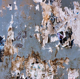 graue Wandfarbe, Rost, Teppich, Kunst, Malerei, Wand, Rock, Loch, Bunker, Gebäude, Fleck, Teer, Geländer, Graffiti, ablassen, Mannloch, Kanal, Tier, Vogel, Möwe, verwittert, texturiert, Vollbild, geschält, beschädigt, abschälen, Wandbau - Funktion, alt, Ablehnen, Verschlechterung, keine Leute, heruntergewirtschaftet, gebaute Struktur, Hintergründe, Metall, Tag, rostig, schlechter Zustand, Nahansicht, Rau, draußen, ruiniert, Beton, 2K, CC0, gemeinfrei, lizenzfrei