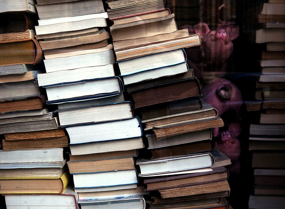 lotto di libri assortiti, pila, pubblicazione, libro, grande gruppo di oggetti, persone, apprendimento, formazione scolastica, abbondanza, in casa, ritratto, persone reali, giovane adulto, attività, giovani uomini, letteratura, biblioteca, competenza, preparativi, adulto, studiando, adolescente, eccesso, 2K