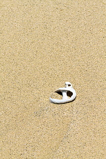 blanc, petxina de mar, sorra, terra, cap gent, platja, naturalesa, dia, primer pla, vista d’angle alt, textura, còpia espai, emoció, natura morta, color daurat, marró, a l'aire lliure, fons, aigua, sol objecte, animal, llum solar, enterrat, 4K, CC0, domini públic, lliure de regalies