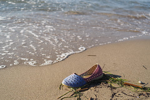 rifiuti di plastica, spiaggia, spazzatura, inquinamento, plastica, rifiuto, gettato via, protezione ambientale, ambiente, lavato su, animale, sabbia, terra, temi animali, fauna selvatica, un animale, mare, acqua, animali allo stato selvatico, natura, invertebrato, giorno, concentrarsi sulle conoscenze acquisite, nessuno, bellezza nella natura, all'aperto, avvicinamento, bagnato, livello di superficie, accessorio personale, 4K, CC0, dominio pubblico, privo di copyright