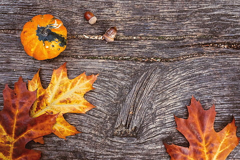 autumn, leaves, pumpkins, old, wooden, background, orange color, wood - material, leaf, plant part, maple leaf, nature, table, food, food and drink, no people, change, pumpkin, fire, directly above, close-up, flame, high angle view, fire - natural phenomenon, fruit, 4K, CC0, public domain, royalty free