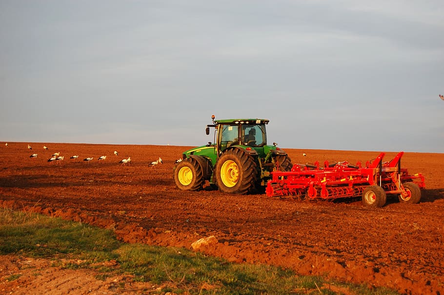 traktor, orba, pole, čápi, zemědělský, zemědělec, zemědělství, hospodář, zpracovává se, půda, stroj, razoren, zemědělských strojů, zemědělské stroje, pozemního vozidla, stroje, přistát, nebe, přeprava, krajina, způsob dopravy, hospodařit, venkovské scény, den, Příroda, životní prostředí, rostlina, venku, obsazení, nikdo, 2K