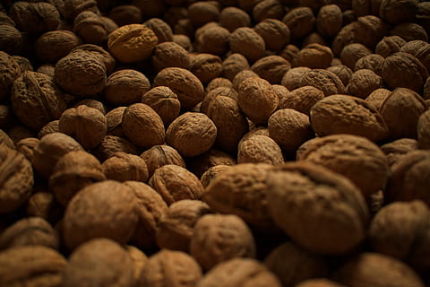 noguera, fruits secs, nous, marró, collita, dur, bol de fruita, menjar i beguda, gran grup d'objectes, menjar, abundància, marc complet, frescor, natura morta, fons, alimentació saludable, nou, benestar, nou - aliments, a l'interior, cap gent, enfocament selectiu, primer pla, fruita, textura, 5K, CC0, domini públic, lliure de regalies