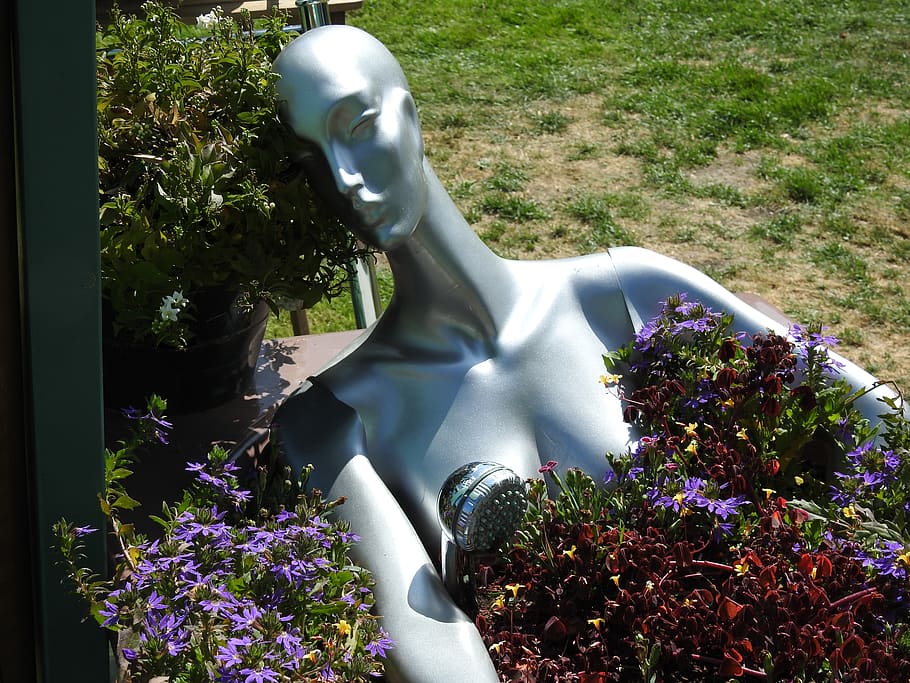 Alemanya, schwalbach dolent, planta, representació humana, representació, planta amb flors, escultura, cap gent, art i artesania, estàtua, flor, dia, naturalesa, creixement, creativitat, semblança masculina, maniquí, a l'aire lliure, vulnerabilitat, semblança femenina, bellesa a la natura, llum solar, porpra, 4K