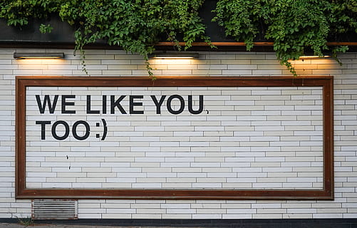 like, signage, white, tile, wall, text, type, happy, positive, light, rectangle, plant, brick, leafe, tree, wood, background, israel, tel aviv, friendship, cafe, sign, building Exterior, facade, business, no People, entrance, store, outdoors, 5K, CC0, public domain, royalty free