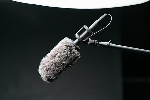 grau, Mikrofon, Filter, Licht, kreativ, Batterie, Linse, Video, Hintergrund, elektronisch, Liebe, bauen, erkunden, Technologie, Kinematographie, Stuhl, Matte Box, einstellen, dsmc2, Tapete, wachsen, Tier, Studioaufnahme, keine Leute, drinnen, Tierthemen, ein Tier, Nahansicht, schwarzer Hintergrund, Musik-, Säugetier, Eingabegerät, Kunst, Kultur und Unterhaltung, inländisch, Fokus auf den Vordergrund, Tierwelt, Ausrüstung, Haustiere, Wirbeltier, 8K, CC0, gemeinfrei, lizenzfrei