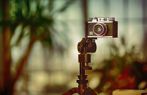 stand kamera, ön plana odaklanmak, teknoloji, fotoğrafçılık temaları, kamera - fotoğrafik donanımlar, retro tarz, kapatmak, insansız, Antik, gün, analog, eski, açık havada, iletişim, doğa, film kamerası, tek nesne, ekipman, Meslek, aktivite, 5K, CC0, kamu malı, telif ücretsiz