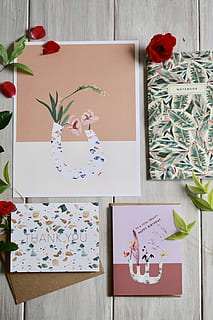 quatre pintures variades, creativitat, flor, planta, planta amb flors, cap gent, art i artesania, paper, a l'interior, representació, naturalesa, text, dibuix - producte artístic, natura morta, taula, decoració, artesania, marc, primer pla, representació humana, motiu floral, 5K, CC0, domini públic, lliure de regalies