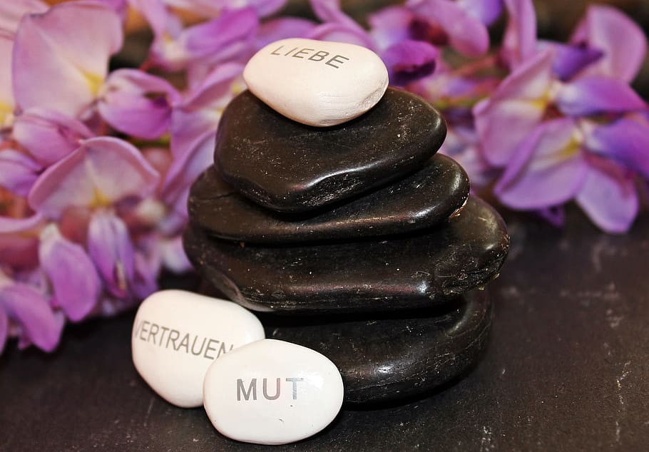 còdols, textura, equilibri, equilibrat, meditació, pedra, rock, rocós, negre, flor, text, planta amb flors, planta, primer pla, color rosa, guió occidental, a l'interior, cap gent, bellesa a la natura, naturalesa, frescor, porpra, menjar, centrar-se en primer pla, salut i medicina, comunicació, medicina, menjar i beguda, estil de vida saludable, 1080P