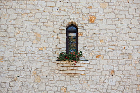 blomst, vindue, væg, facade, Stenmur, plantageejer, klippeafsats, mursten, kunst, murværk, gulve, vejoverflade, arkitektur, bygget struktur, plante, murbygningsfunktion, bygning udvendig, ingen mennesker, bygning, dag, blomstrende plante, natur, udendørs, murstens væg, lav vinkel visning, historie, vækst, 4K, CC0, offentligt domæne, royaltyfrie