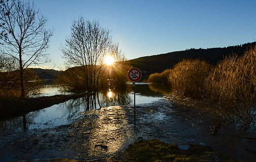 zonsondergang, rivier-, bomen, overstroming, water, reflectie, overstroomd, licht, schemering, de twijfels, morteau, boom, hemel, teken, natuur, fabriek, geen mensen, communicatie, verkeersbord, weg, winter, heldere lucht, sneeuw, kalmte, koude temperatuur, zonlicht, buitenshuis, schoonheid in de natuur, rustige scène, Lens flare, 5K, CC0, publiek domein, royaltyvrij
