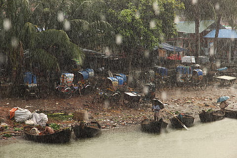 lluvia, agua, gente real, árbol, grupo de personas, naturaleza, día, ocupación, frente al mar, arquitectura, planta, estructura construida, hombres, exterior del edificio, gente, río, estilos de vida, al aire libre, suciedad, sucio, 2K, CC0, dominio público, libre de derechos