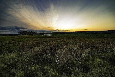 solnedgang, himmel, dramatisk, landskab, landskaber, skumring, natur, tusmørke, belysning, atmosfære, felter, scenics - natur, skønhed i naturen, rolig scene, miljø, ro, jord, Mark, plante, vækst, sky - himmel, ingen mennesker, idyllisk, landlige scene, landbrug, ikke-urbane scene, sol, 5K, CC0, offentligt domæne, royaltyfrie