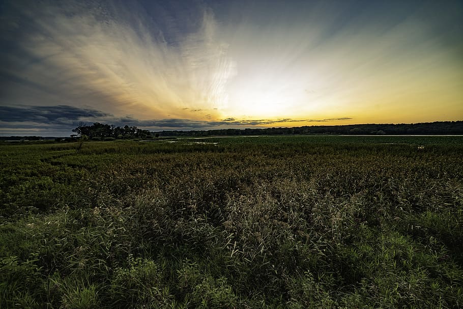 solnedgang, himmel, dramatisk, landskab, landskaber, skumring, natur, tusmørke, belysning, atmosfære, felter, scenics - natur, skønhed i naturen, rolig scene, miljø, ro, jord, Mark, plante, vækst, sky - himmel, ingen mennesker, idyllisk, landlige scene, landbrug, ikke-urbane scene, sol, 5K