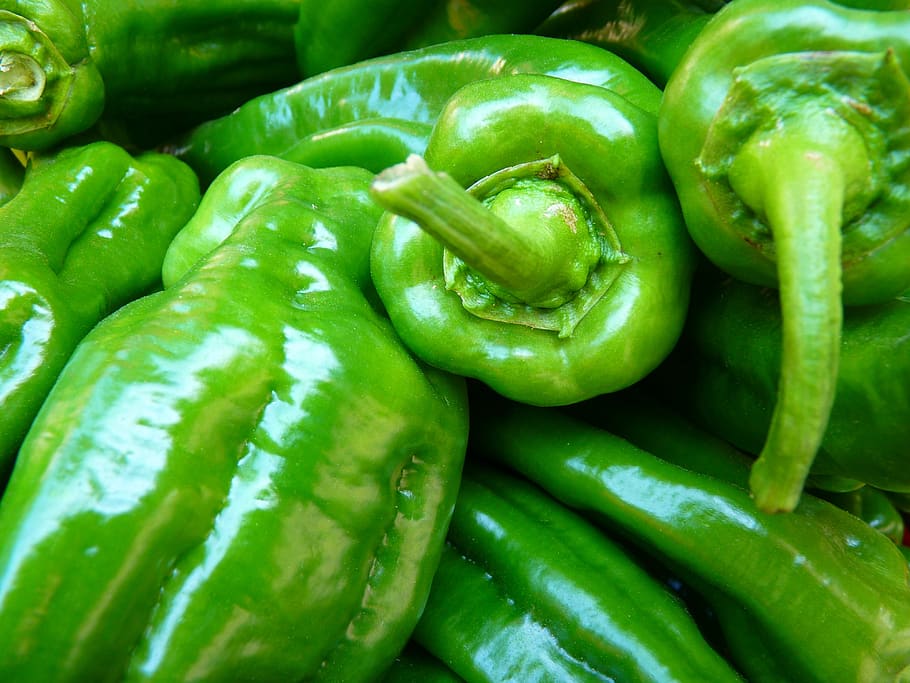 pebrot verd, primer pla, menjar, verd, pebre, verdures, menjar i beguda, vegetals, color verd, frescor, alimentació saludable, benestar, marc complet, mercat, fons, gran grup d'objectes, cap gent, a la venda, abundància, espècia, venda al detall, aliments crus, orgànic, madur, 4K
