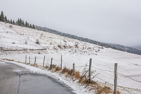 kutte opp, tre, ved siden av, vei, skyer, kald, dag, dagslys, miljø, frost, frossen, gress, is, landskap, fjell, natur, scenisk, årstid, himmel, snø, snøbegrenset, snowy, trær, vær, vinter, nettinggjerde, skogen, kaldtemperatur, barriere, grense, gjerde, ro, rolig scene, dekker, land, ingen folk, skjønnhet i naturen, naturskjønnhet - natur, hvit farge, felt, utendørs, trepost, 5K, CC0, offentlig domene, opphavsrett gratis