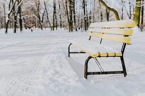 wintery park, white, clean, outdoor, trees, park, winter, cold, snow, snowy, cold temperature, absence, empty, nature, seat, covering, day, no people, white color, tranquility, bench, land, field, tree, beauty in nature, deep snow, park bench, outdoors, snowcapped mountain, 5K