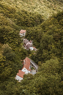 aereo, vista, Casa, foresta, costruzione, strada, albero, verde, bellissimo, natura, ceco, boemo, natura selvaggia, praga, architettura, villaggio, all'aperto, tetto, culture, paesaggio, montagna, Europa, estate, storia, scena rurale, Paesaggi, colore verde, posto famoso, esterno dell'edificio, vecchio, viaggio, collina, struttura costruita, cittadina, Chiesa, turismo, 5K, CC0, dominio pubblico, privo di copyright
