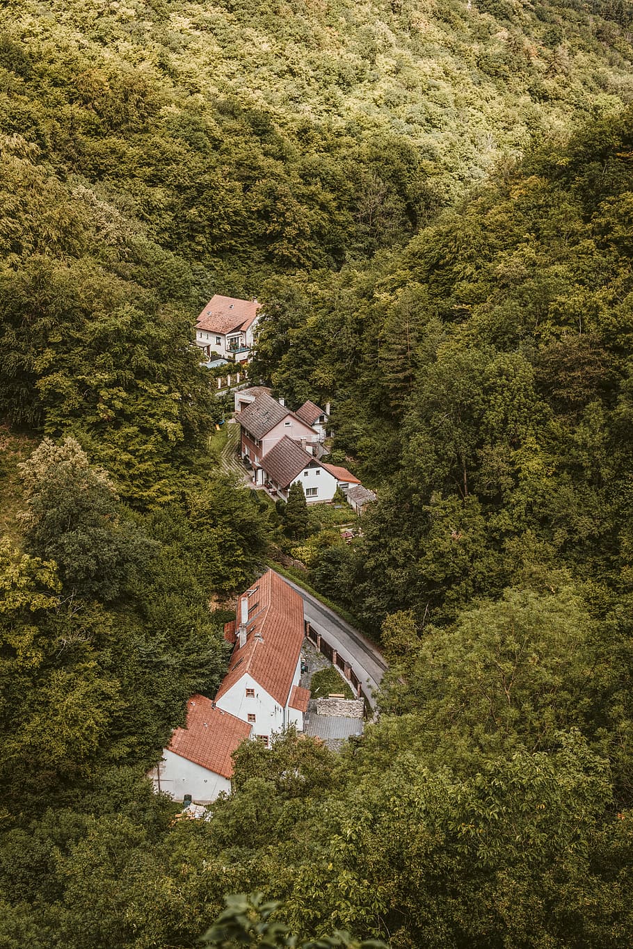 aereo, vista, Casa, foresta, costruzione, strada, albero, verde, bellissimo, natura, ceco, boemo, natura selvaggia, praga, architettura, villaggio, all'aperto, tetto, culture, paesaggio, montagna, Europa, estate, storia, scena rurale, Paesaggi, colore verde, posto famoso, esterno dell'edificio, vecchio, viaggio, collina, struttura costruita, cittadina, Chiesa, turismo, 5K