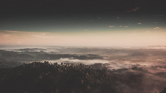 cacho de árvores, nuvens, Sombrio, alvorecer, crepúsculo, tarde, névoa, nebuloso, tiro de alto ângulo, panorama, montanha, natureza, ao ar livre, cênico, silhueta, céu, por do sol, viagem, arvores, clima, meio Ambiente, scenics - natureza, nuvem - céu, beleza na natureza, noite, tranquilidade, terra, manhã, cena tranquila, cloudscape, ninguém, clima atmosférico, floresta, acima, 5K, CC0, domínio público, royalty free