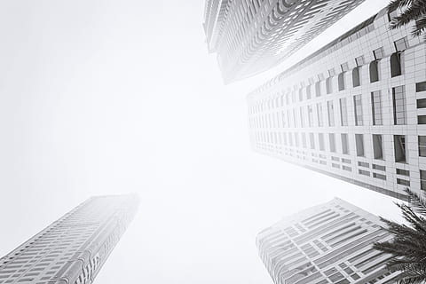 bottom view, modern, skyscraper., business district, black, &, white, architecture, city, built structure, building exterior, building, office building exterior, skyscraper, tall - high, office, sky, business, nature, tower, no people, day, copy space, financial district, low angle view, directly below, 4K