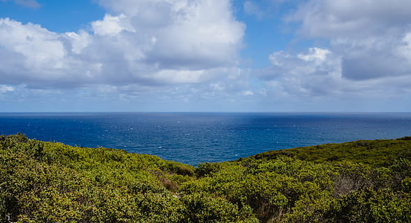 fotografering, blå, ocean, himmel, træ, vand, Sky, hav, Skov, kyst, strand, cloudscape, natur, udendørs, grøn, landskab, udsigt, vistum, panorama, sommer, kystlinje, ø, scenics, rejse, marinemaleri, ferier, klint, turisme, sky - himmel, skønhed i naturen, bjerg, grøn farve, idyllisk, dag, tropisk klima, bakke, baggrunde, 4K, CC0, offentligt domæne, royaltyfrie