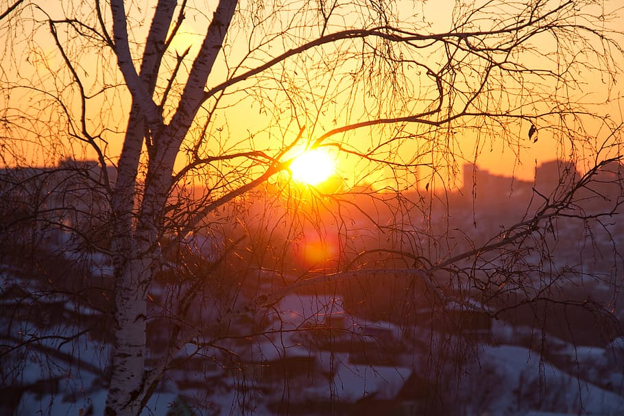 Sonne, , Sonnenstrahl, Gelb, Orange, Sonnenschein, ufa, Wald, Farbe, Sonnenuntergang, Szene, Ast, Baum, Winter, Schnee, kalte Temperatur, kahler Baum, Himmel, Schönheit in der Natur, Pflanze, Ruhe, Sonnenlicht, Szenen - Natur, keine Leute, Natur, Linseneffekt, ruhige Szene, orange Farbe, draußen, 2K