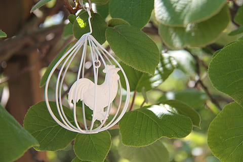 decoratie, Pasen, traditie, de lente, blad, deel van de plant, fabriek, detailopname, boom, groei, groene kleur, natuur, opknoping, focus op de voorgrond, geen mensen, dag, schoonheid in de natuur, versheid, tak, buitenshuis, zonlicht, eten en drinken, voedsel, gezond eten, 5K, CC0, publiek domein, royaltyvrij