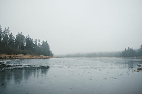 germany, oderteich, forest, wood, sea, harz, water, winter, mood, moody, travel, trees, roaming, wandering, dust, landscape, nature, ice, frozen, lukas becker, beauty in nature, scenics - nature, tranquility, tranquil scene, cold temperature, tree, fog, lake, plant, non-urban scene, sky, no people, day, reflection, copy space, 5K, CC0, public domain, royalty free